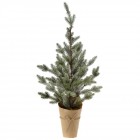 Декоративна елха заснежена в саксия 2