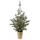 Декоративна елха заснежена в саксия 1