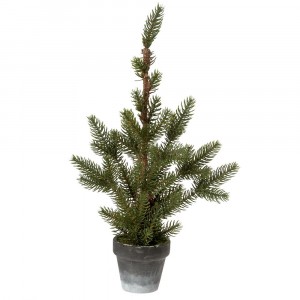 Декоративна елха в саксия 1