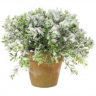 Цвете в саксия, заснежено, 17х15 см