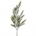 Елхова клонка заснежена, 12х50 см