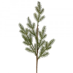 Клонка зелена 1