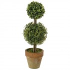 Декоративно дръвче в саксия 3