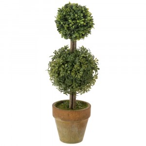 Декоративно дръвче в саксия 3