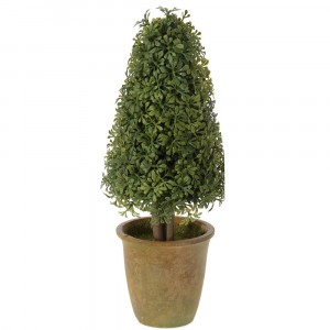 Декоративно дръвче в саксия 2