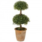 Декоративно дръвче в саксия 1