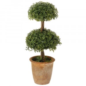 Декоративно дръвче в саксия 1