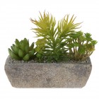 Аранжировка сукуленти в керамична саксия 1, 20Х7Х8СМ