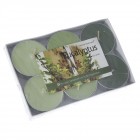 Ароматни свещи, Евкалипт ,  S/6