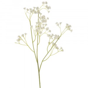 Гипсофил клонка 63СМ