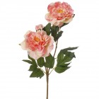 Стрък, божур розов, Ф15х89 см