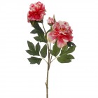 Стрък божур, розов, Ф15х89 см