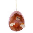 Еко пиле в  йце г.(2/32)