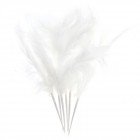 Пера на клечка, бели, 6 бр