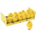 Пилета рошави, 12 бр в кутия, жълти