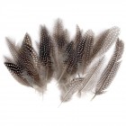 Пера, натурал, 24 бр, 16 см