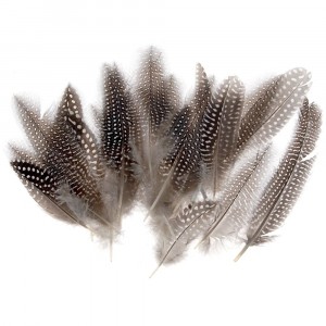 Пера, натурал, 24 бр, 16 см