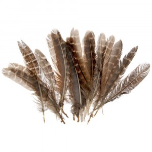 Пера, естествени, 24 бр, 16 см