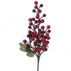 Грозд от червени топчета