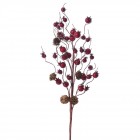 Клон с шишарки и шипки, 70 см