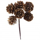 Сноп 6 кафяви шишарки, ф 2 см