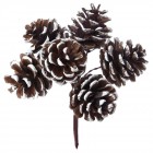 Сноп 6 кафяви заснежени шишарки, ф 2 см