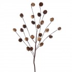 Стрък с шишарки, 78 см