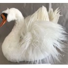 Лебед покрит с бели пера и кадифе, 30х20х21 см