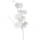 Стрък спрей орхидея, бяла с брокат, 16х77 см