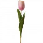 Лале, розово, 63 см