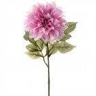Далия, розова, 69 см