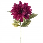 Далия, бургунди, 69 см
