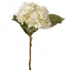 Хортензия, крем, 53 см