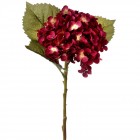 Хортензия, бургунди, 53 см