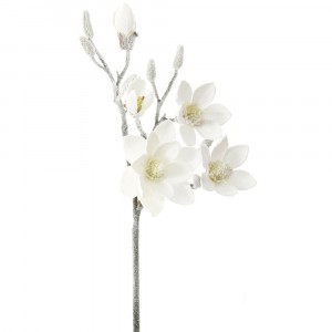 Клон заскрежена магнолия, бяла, 89 см