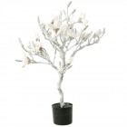 Заскрежено дърво, магнолия, бяла, 85 см