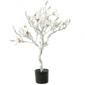 Заскрежено дърво, магнолия, бяла, 85 см