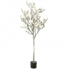 Заскрежено дърво, магнолия, бяла, 165 см