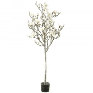 Заскрежено дърво, магнолия, бяла, 165 см