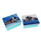 Кутии картон с кученца и котенца 6x8.8X12CM