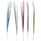 Коледни клонки 5 цвята