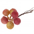 Клонки плод - к-т 12 бр.