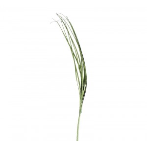 Кол. стрък ленти зелено 123 см. (1/96)