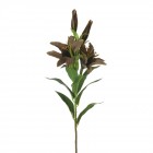 Лилиум стрък 89CM.