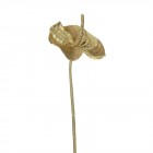 Стрък златен антуриум, 69 см