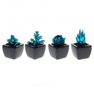 Мини кактуси в саксия, 4 модела, сини
