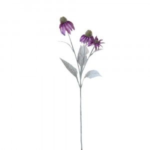 Рудбекия лилава, брокат 63CM