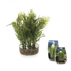 Аранжировка за аквариум,10СМ,12/120