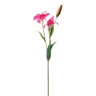 Стрък лилум розов 67CM