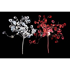 Клон лъскав,,50CM(12/120)